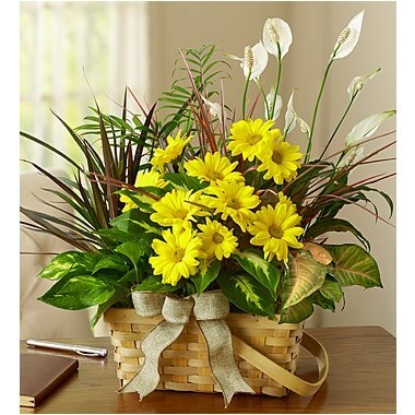 Add Flower Cuts
